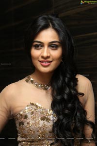 Neha Hinge at Sreevalli Audio Release