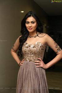 Neha Hinge at Sreevalli Audio Release