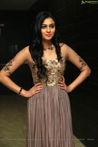 Neha Hinge at Sreevalli Audio Release