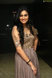 Neha Hinge at Sreevalli Audio Release