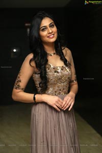 Neha Hinge at Sreevalli Audio Release