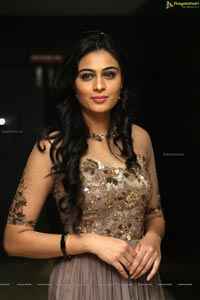 Neha Hinge at Sreevalli Audio Release