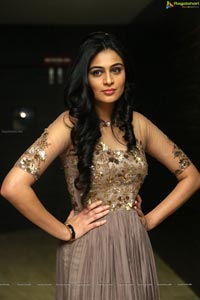 Neha Hinge at Sreevalli Audio Release