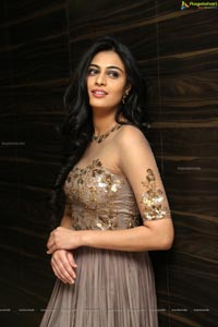 Neha Hinge at Sreevalli Audio Release