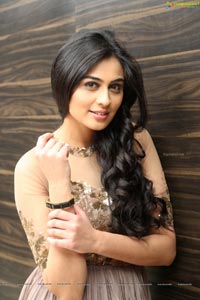 Neha Hinge at Sreevalli Audio Release