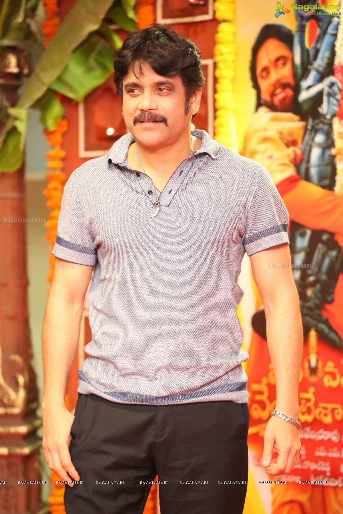 Nagarjuna Akkineni (Set 2)