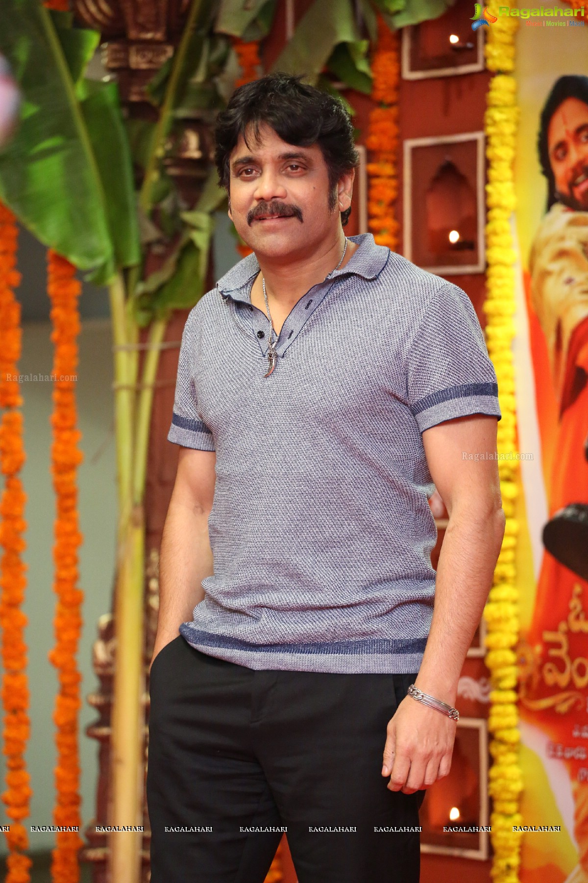 Nagarjuna Akkineni (Set 2)