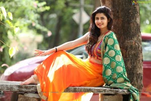 Ashima Narwal Ragalahari Wallpapers