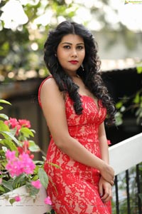 Rachana Smith Wallpapers