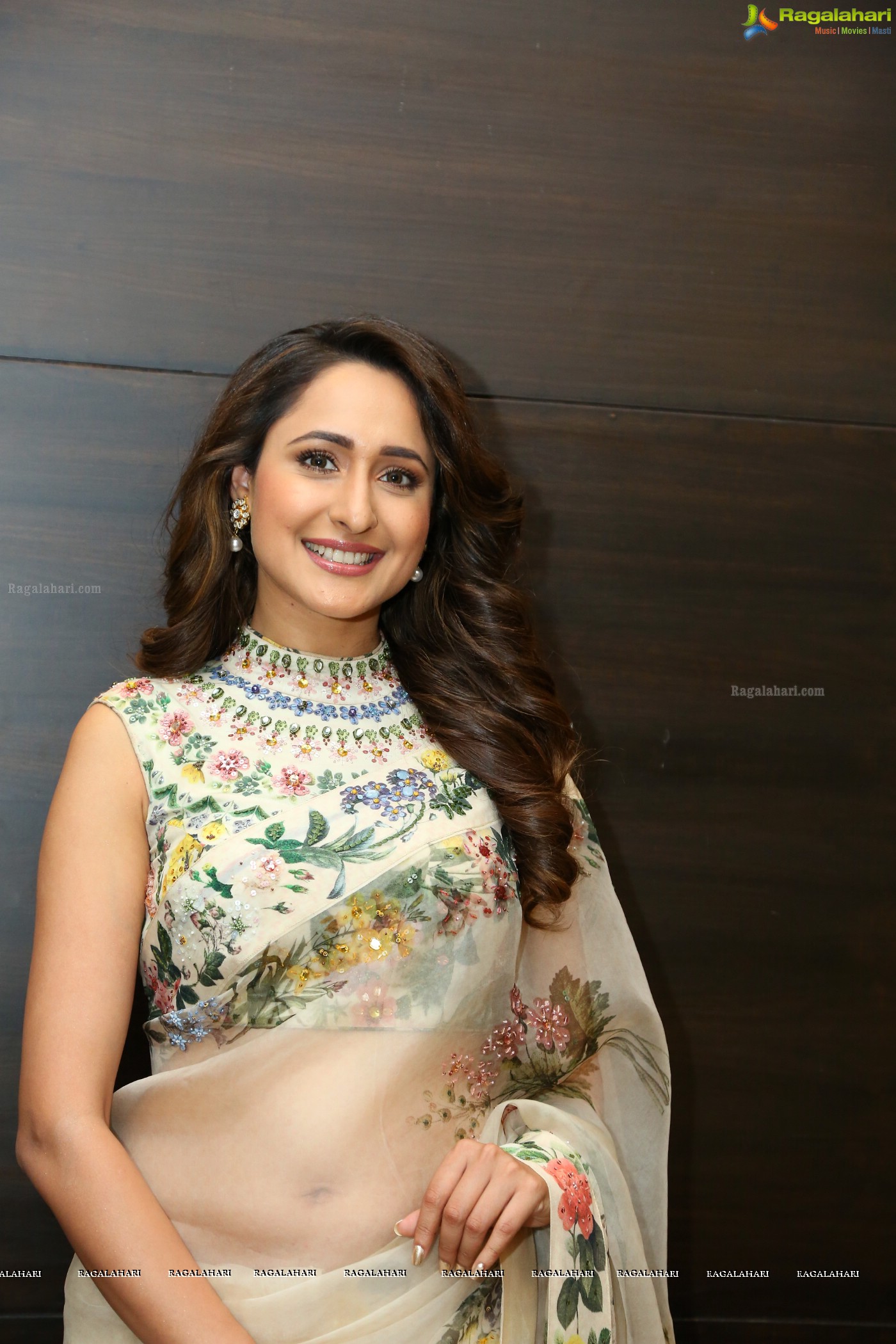 Pragya Jaiswal (Posters)