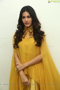 Amyra Dastur