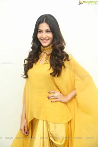 Amyra Dastur