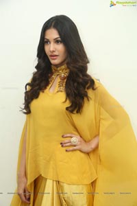 Amyra Dastur