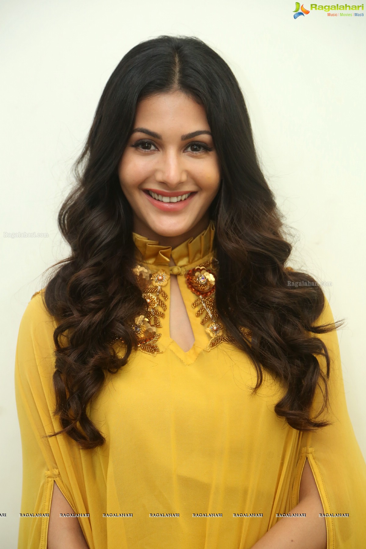 Amyra Dastur at Manasuku Nachindi Interview