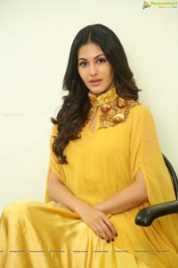 Amyra Dastur