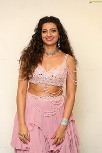 Hamsa Nandini