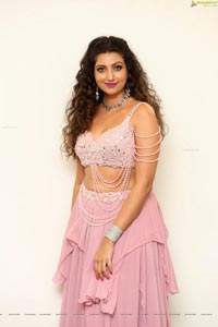 Hamsa Nandini