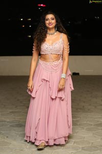 Hamsa Nandini