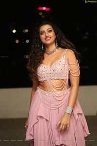 Hamsa Nandini