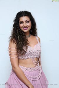 Hamsa Nandini