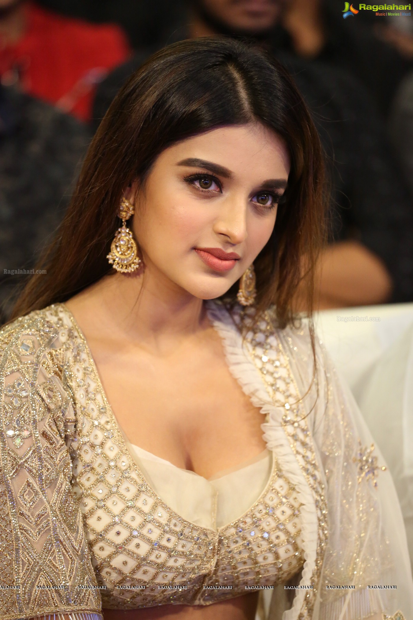 Nidhhi Agerwal (Posters) at Mr. Majnu Pre-Release Event
