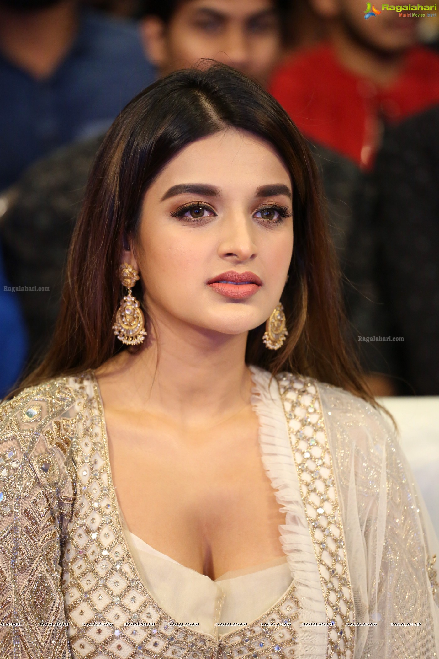 Nidhhi Agerwal (Posters) at Mr. Majnu Pre-Release Event