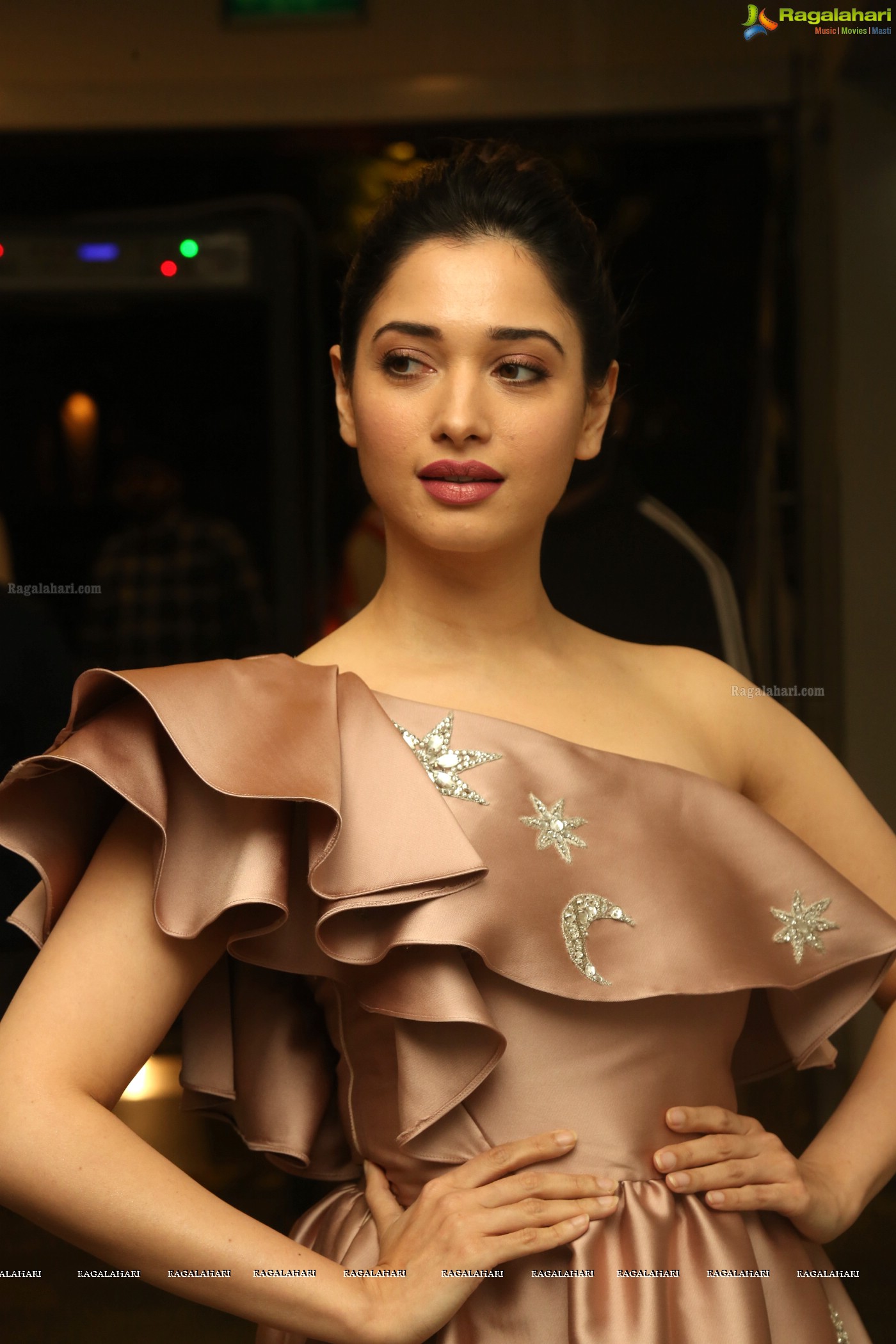 Tamannaah (Hi-Resolution Posters) @ F2 Pre-Release Event