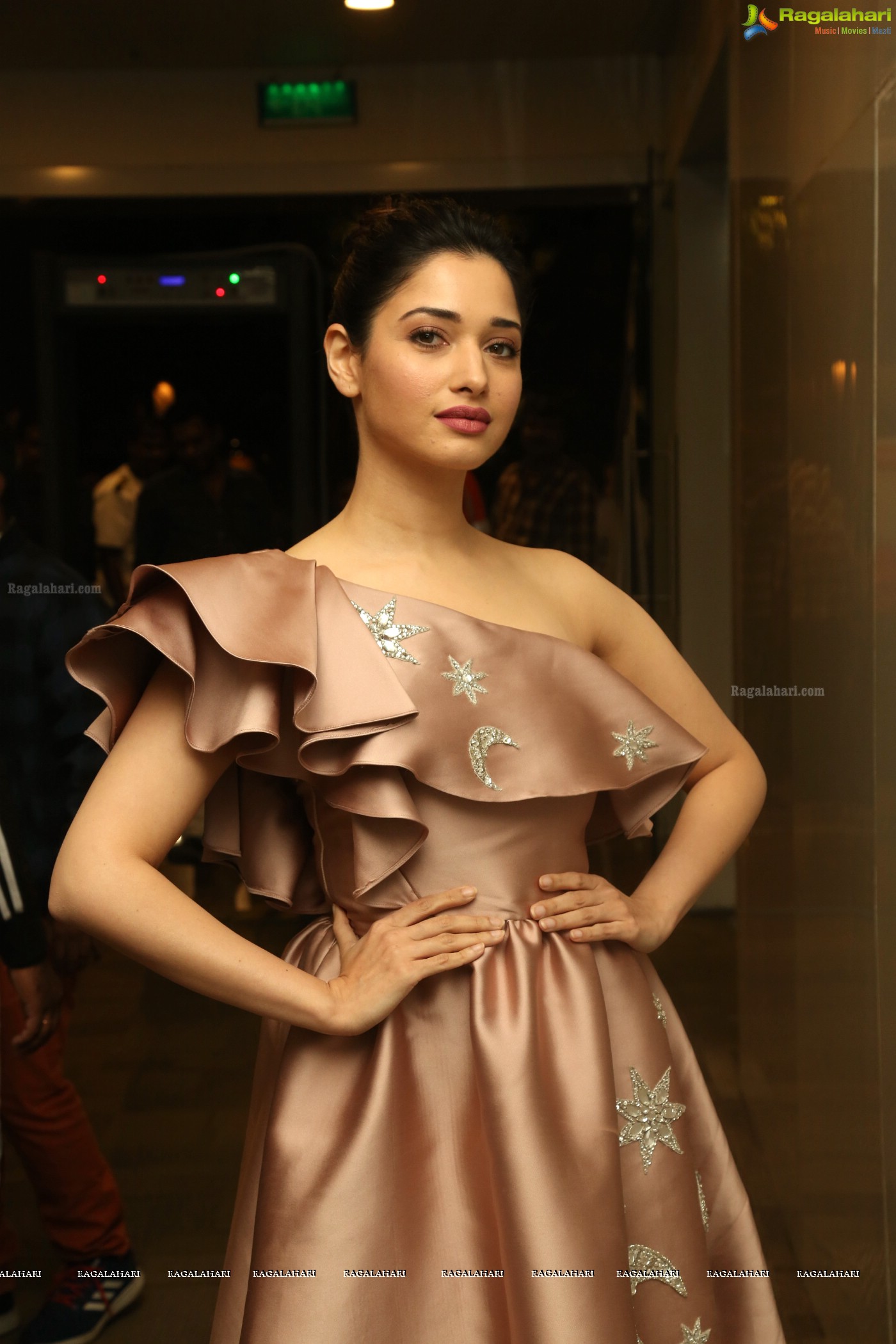 Tamannaah (Hi-Resolution Posters) @ F2 Pre-Release Event