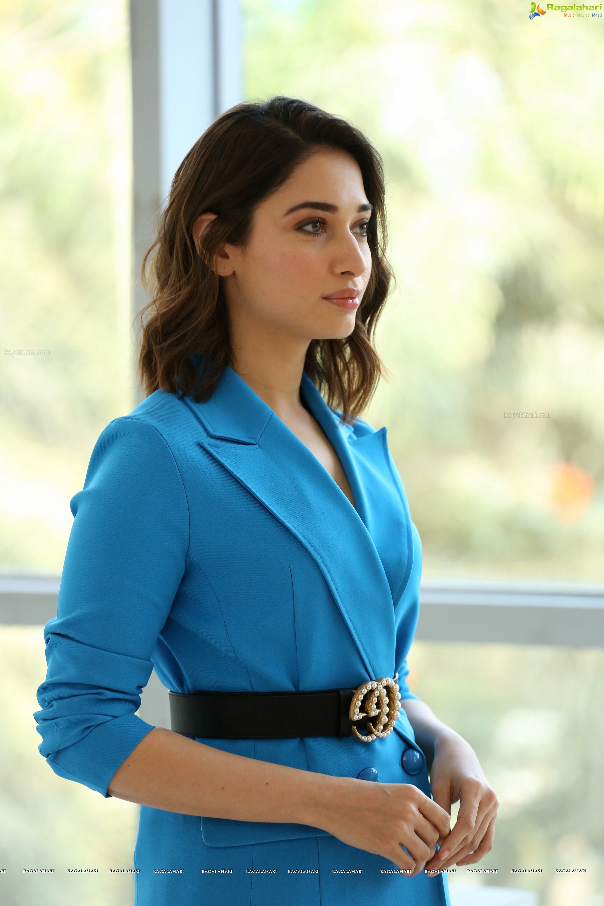 Tamannaah (Hi-Resolution Posters) @ F2 Success Meet