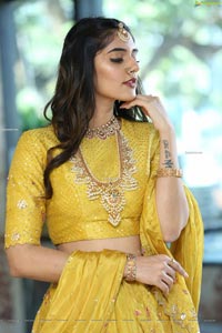 Kritya Sudha Karda at Sri Krishna Jewellers