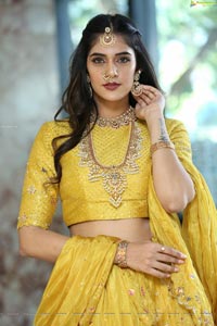 Kritya Sudha Karda at Sri Krishna Jewellers