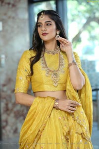 Kritya Sudha Karda at Sri Krishna Jewellers