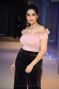 Manjusha at Disco Raja Movie Success Meet