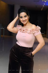 Manjusha at Disco Raja Movie Success Meet