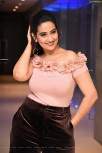 Manjusha at Disco Raja Movie Success Meet