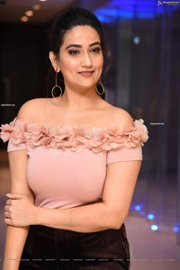 Manjusha at Disco Raja Movie Success Meet