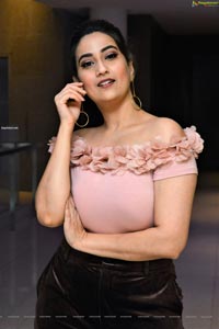 Manjusha at Disco Raja Movie Success Meet