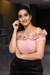 Manjusha at Disco Raja Movie Success Meet