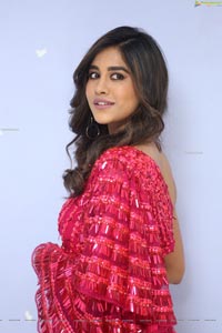 Nabha Natesh at Disco Raja 3rd Song Launch