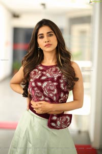 Nabha Natesh at Disco Raja Press Meet