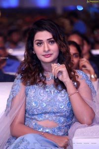 Payal Rajput at Disco Raja Movie Pre-Release