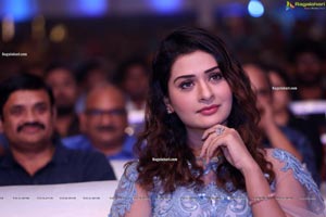 Payal Rajput at Disco Raja Movie Pre-Release