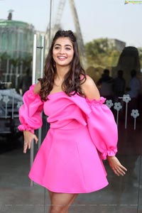 Pooja Hegde @ Ala Vaikunthapurramuloo Thanks Meet