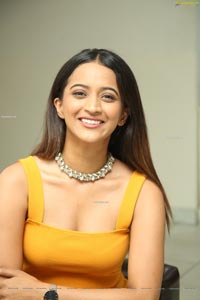 Shruti Shetty at Life Anubhavinchu Raja Press Meet