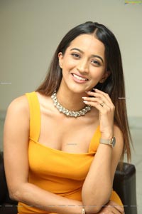 Shruti Shetty at Life Anubhavinchu Raja Press Meet