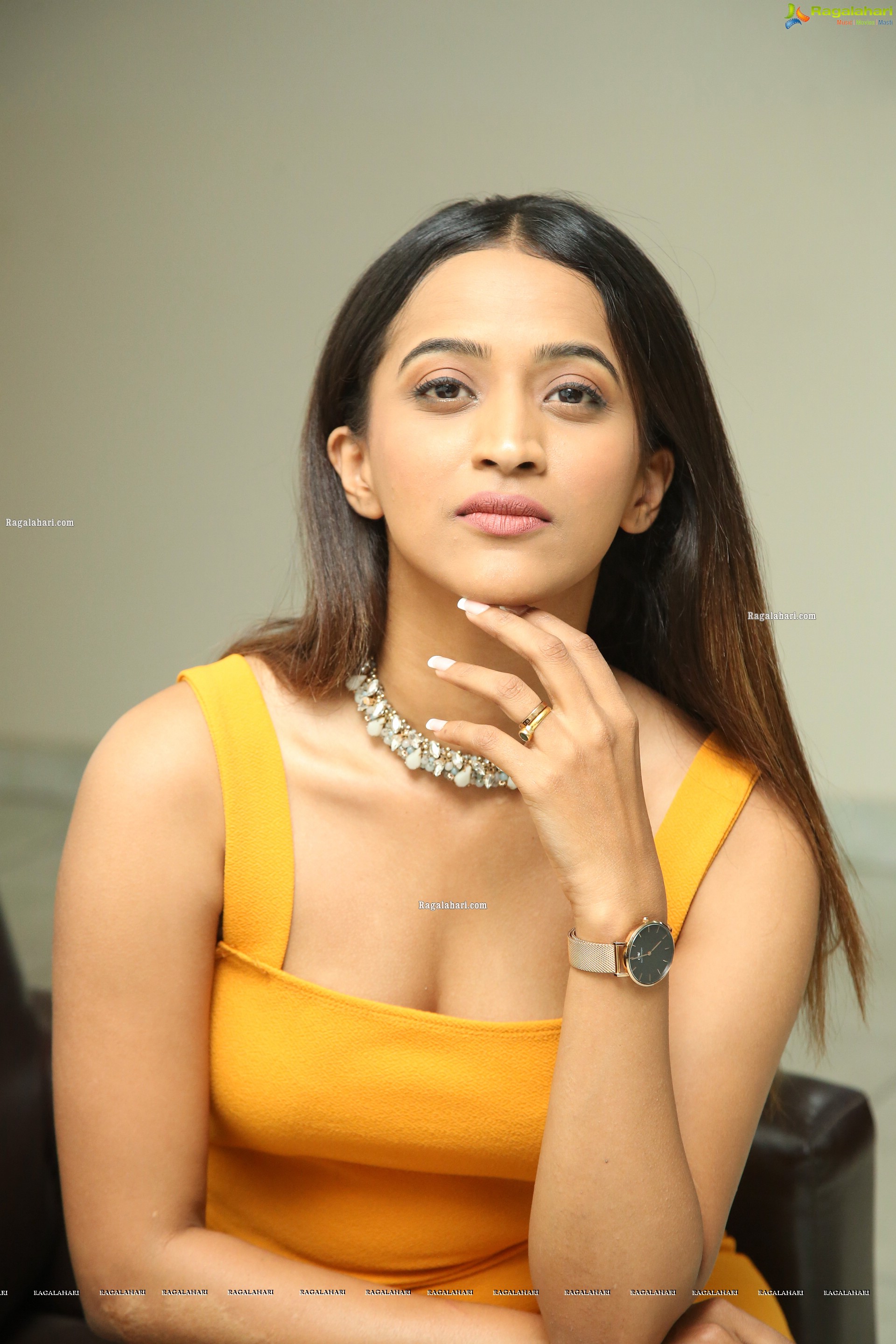 Shruti Shetty at Life Anubhavinchu Raja Movie Press Meet HD Gallery, Images