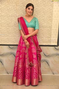 Mehrene Kaur Pirzada at Aswathama Audio Launch