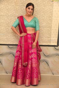 Mehrene Kaur Pirzada at Aswathama Audio Launch