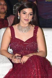 Mehrene Pirzada at Entha Manchivadavura Pre-Release