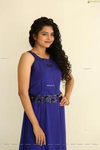 Gayatri Rema at Pranavam Movie Press Meet